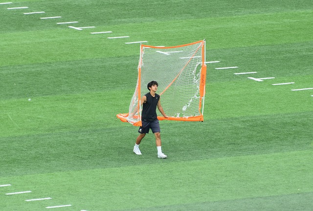 强调