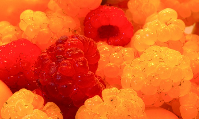 起已经令竞 起已经令竞