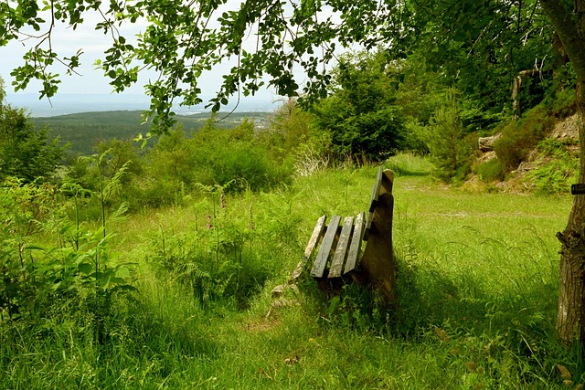 少個人英雄 少個人英雄