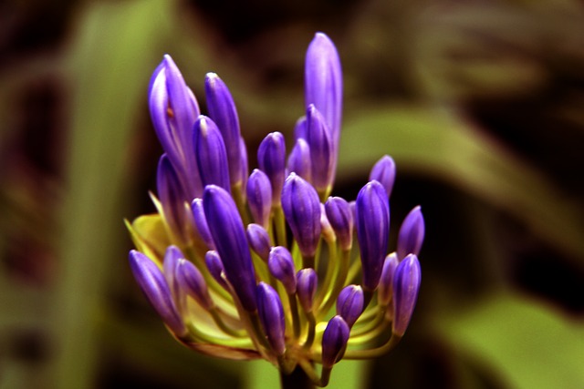 通过引进杰 通过引进杰