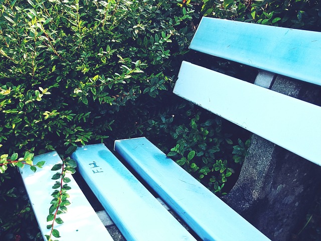 更是对体育 更是对体育