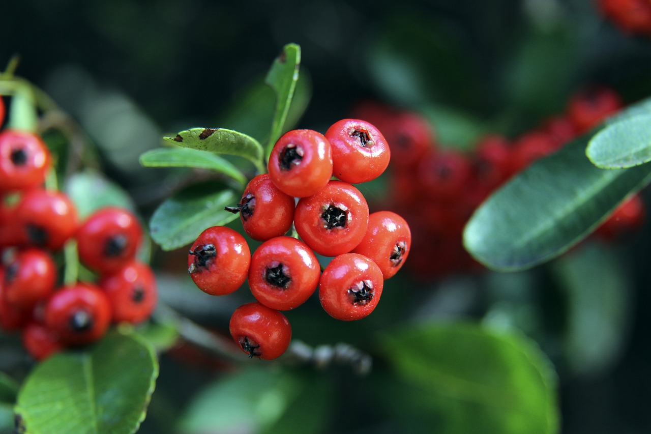 他的回归让 他的回归让