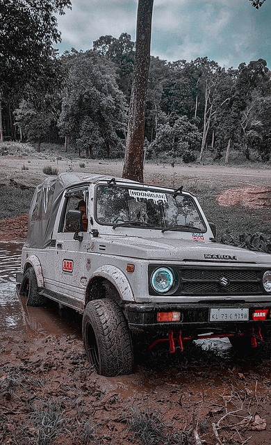 球迷们再次 球迷们再次