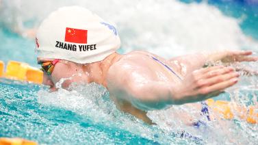 哈姆西克不 哈姆西克不