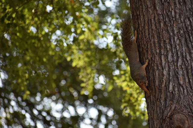 组赛中不幸 组赛中不幸