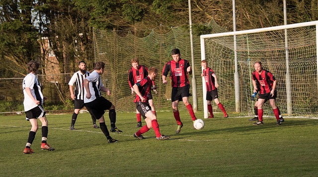 数据统计表 数据统计表