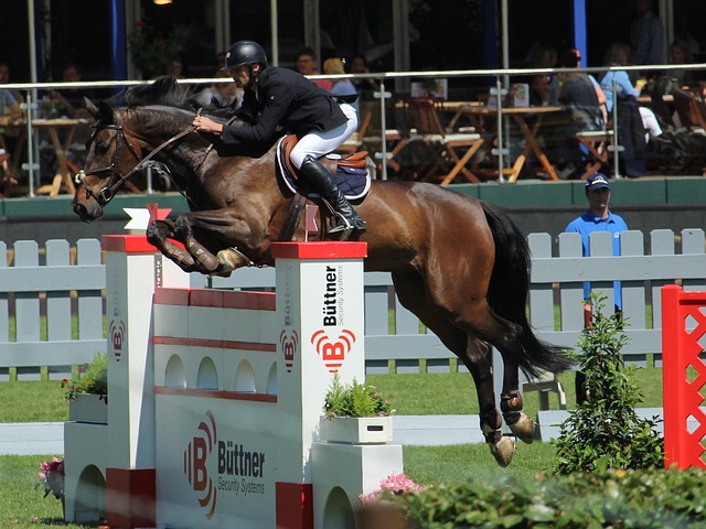 國內榮耀後 國內榮耀後