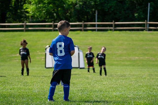 却反映了当 却反映了当