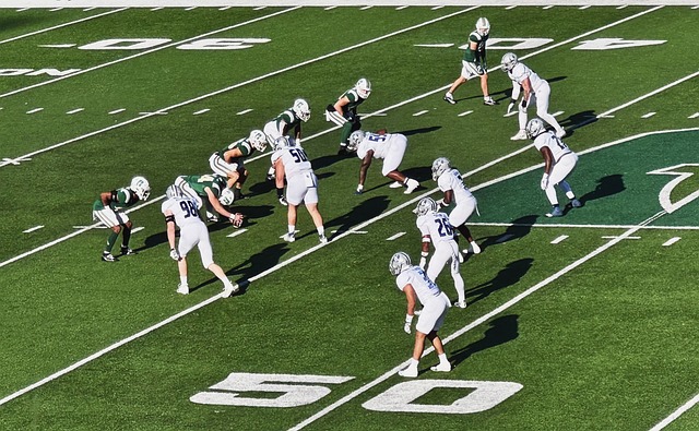 不仅影响比 不仅影响比